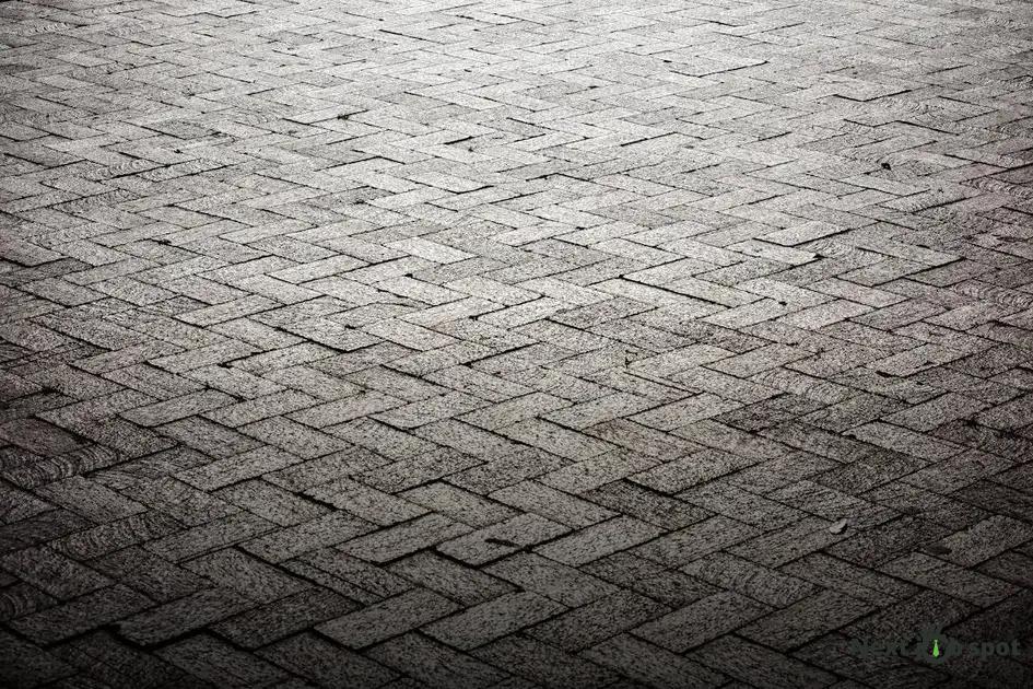 Maximizing Opportunities at Networking Events