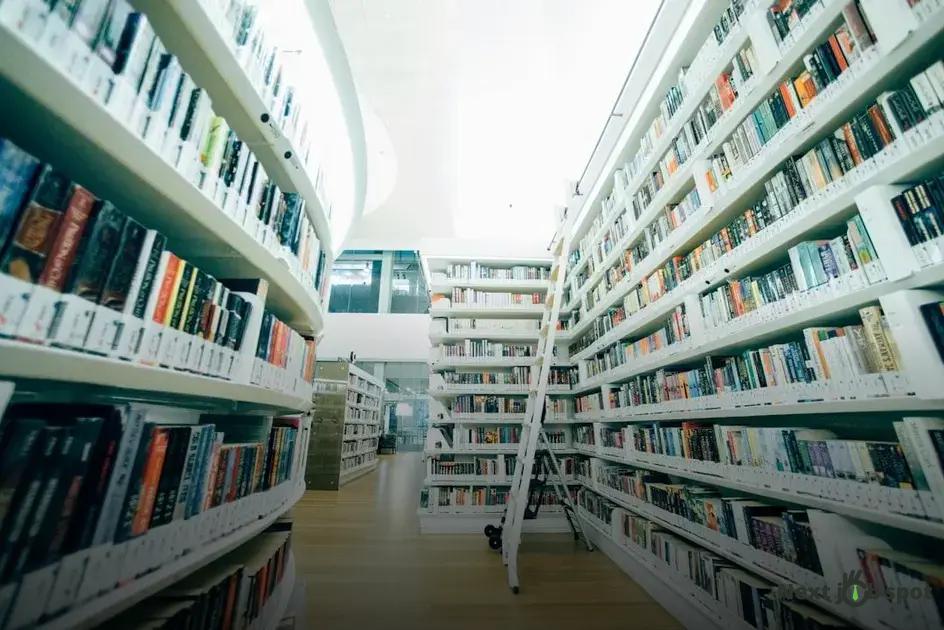 Strategies for Maximizing Career Growth through Mentorship