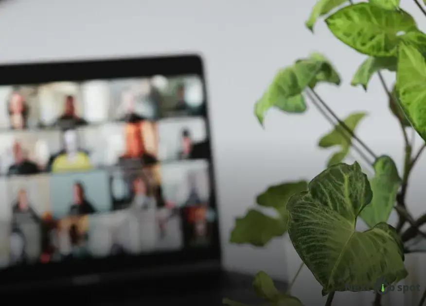 The Future of Co-Working Spaces